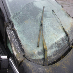 Shattered car windscreen